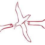 Albatross discount code