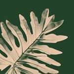 Bloomscape discount code