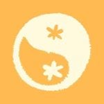 Duvin Design discount code