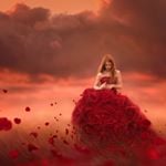 Jessica Drossin discount code