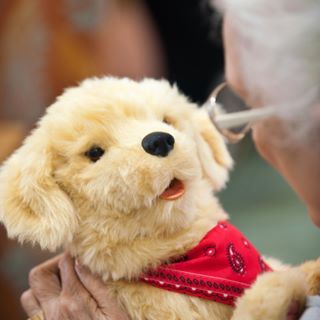 Joy For All Companion Pets Discount Code