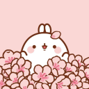 Kuru Store Discount Code