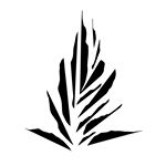 Noho Home discount code