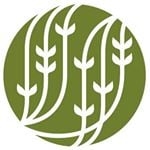 Palais Des Ths discount code