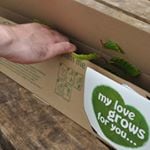 Tree2Mydoorcom Discount Code