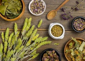 The Potential Benefits of Red Maengs Da Kratom: A Comprehensive Guide