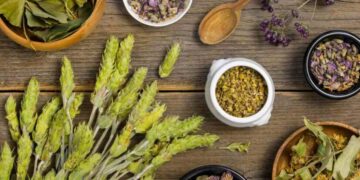 The Potential Benefits of Red Maengs Da Kratom: A Comprehensive Guide