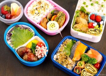 Why Bento Lunch Boxes are a Game-Changer Option for Hectic Schedules