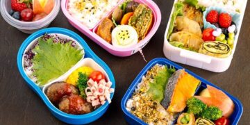 Why Bento Lunch Boxes are a Game-Changer Option for Hectic Schedules