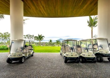 How to Select the Appropriate Electric Cart for Your Requirements  