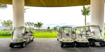 How to Select the Appropriate Electric Cart for Your Requirements  