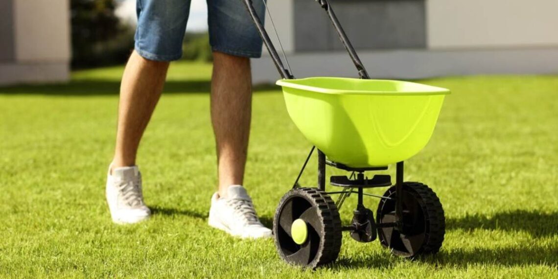 Overseeding vs Reseeding: How to Know Which Is Right for Your Lawn