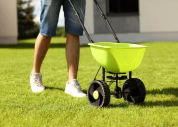 Overseeding vs Reseeding: How to Know Which Is Right for Your Lawn