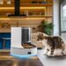 Automatic vs. Manual Litter Boxes: Is the Upgrade Worth It?