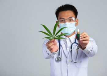 Tips for Launching a Successful Cannabis Dispensary