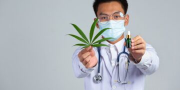 Tips for Launching a Successful Cannabis Dispensary