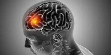 The Resources a Brain Injury Victim Will Need to Recover