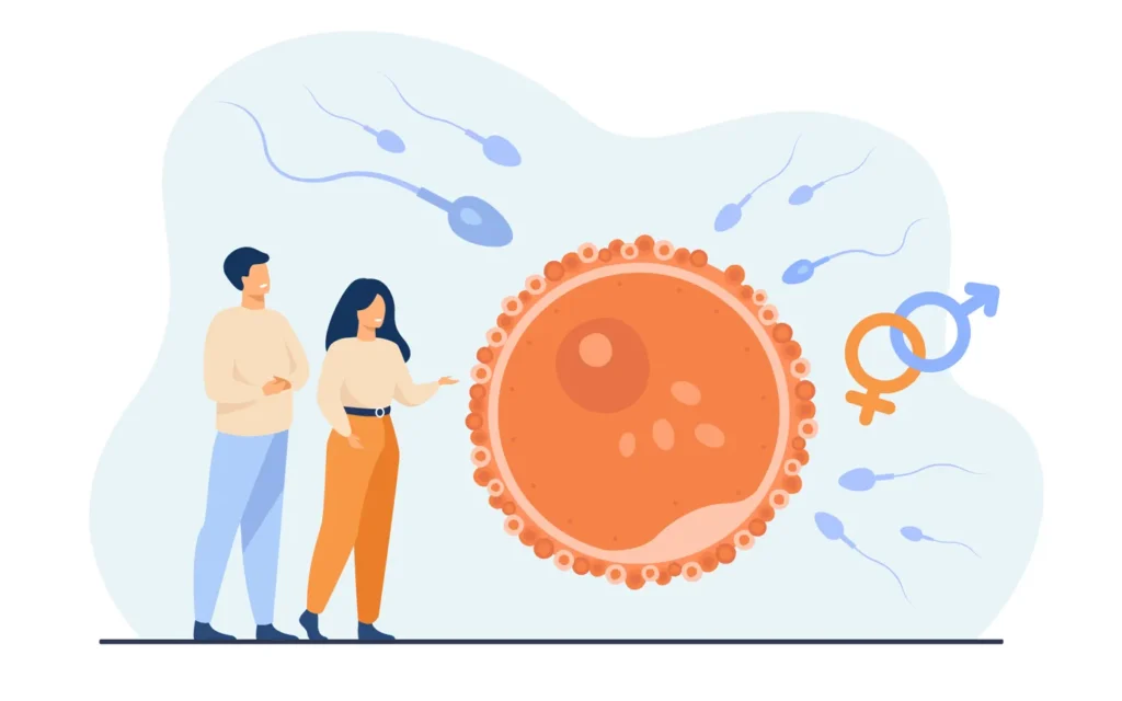 Understanding Fertility Treatment Facilities in the U.S