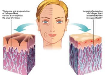 The Role of Collagen in Keeping Skin Firm and Youthful
