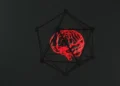 Brain