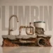 Austin plumbing problems