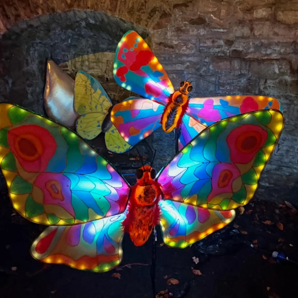 Illuminated bee and butterfly lantern installations at a night trail event