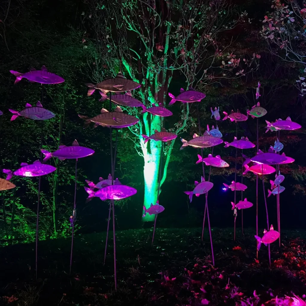 illuminated-fish-shoal