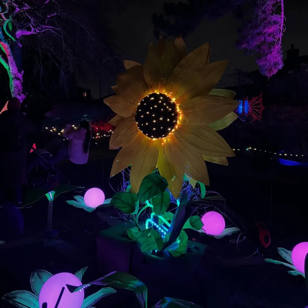 Illuminated fish shoal and giant sunflower lantern at a night garden trail