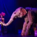 Water for Elephants Dazzles With Pageantry and Puppetry and Its Circling Back Toward New York